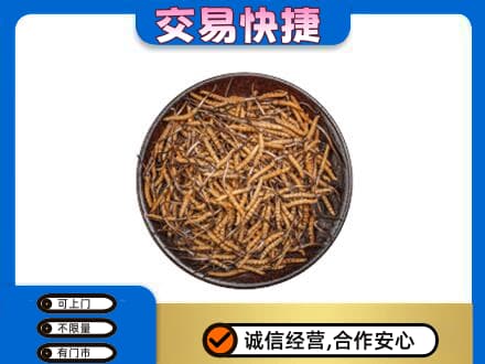 老边区回收散虫草